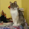 Отзыв от София Большакова